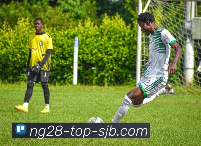 南宫28，南宫28官网，南宫28官方网站，南宫28入口，南宫28APP平台生态图